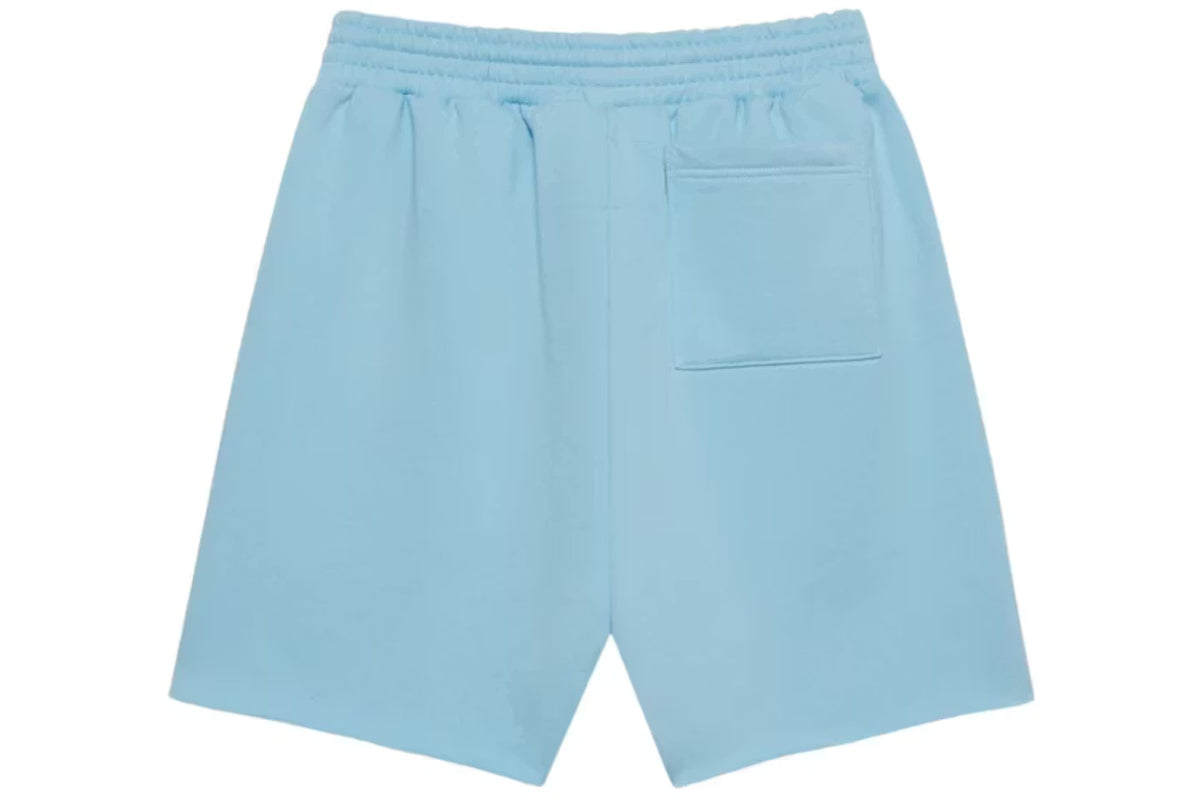 Sp5der OG Web Sweatshort (SS26)
Sky Blue