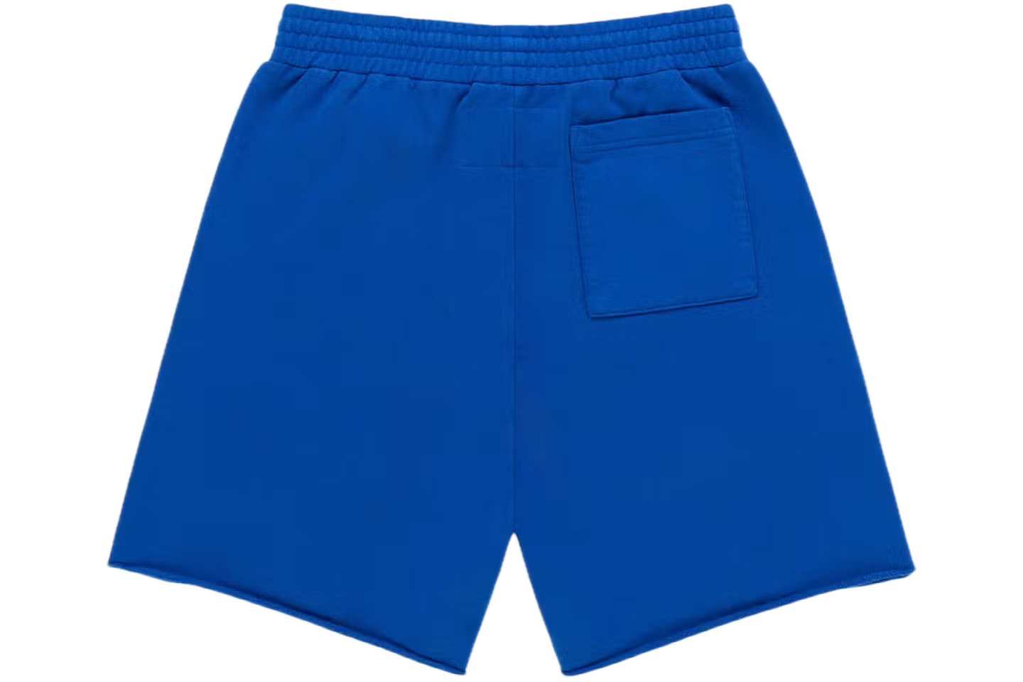 Sp5der OG Logo Sweatshort
Blue